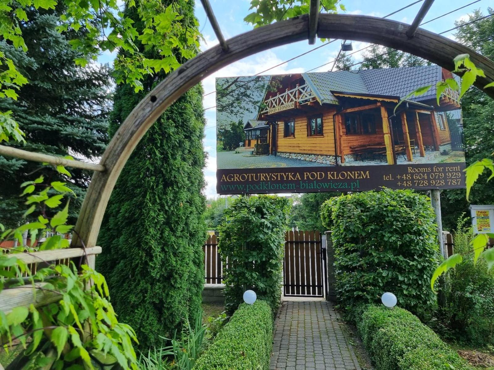 Domek Pod Klonem Agroturystyka Białowieża Dış mekan fotoğraf